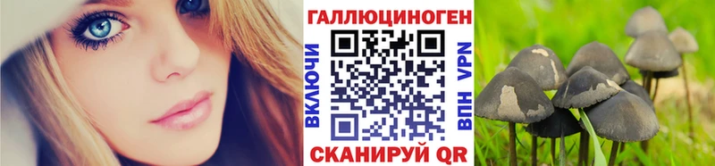 Купить закладки  Княгинино  Галлюциногенные грибы ЛСД 